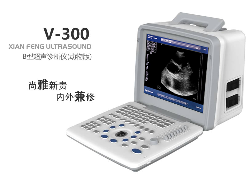 B型動(dòng)物超聲診斷儀